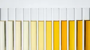 Provette con liquidi di diversi colori gialli su sfondo chiaro