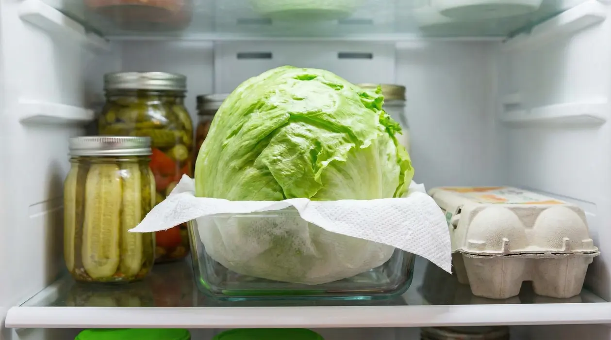 Una lattuga conservata in un contenitore di vetro all'interno di un frigorifero